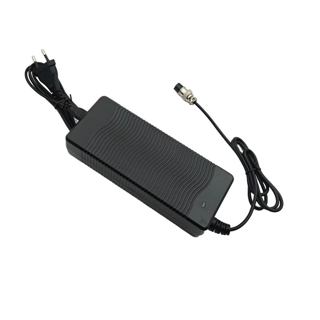 60V2A Euro Plug Charger